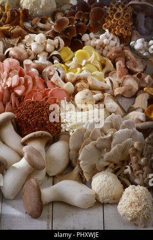 a selection of fresh uncooked exotic mushroom varieties Stock Photo