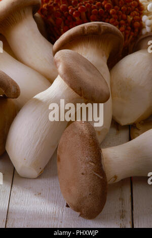 a selection of fresh uncooked exotic mushroom varieties Stock Photo