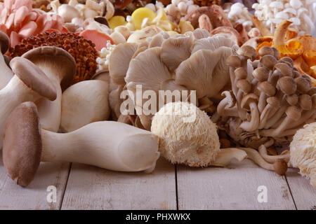 a selection of fresh uncooked exotic mushroom varieties Stock Photo