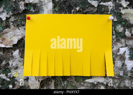 Blank yellow paper with tear off tabs Stock Photo