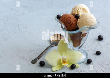 Homemade chocolate and vanilla ice cream. Stock Photo