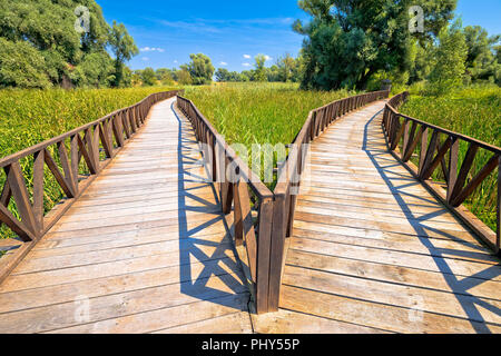 Kopacki Rit marshes nature park wooden boardwalk view, Baranja region of Croatia Stock Photo