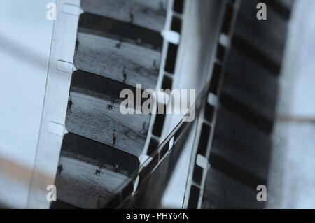 still-life of film strips and film accessories Stock Photo