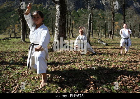 Members of Munich Karate Club USC show their sport at the big maple ground in the Karwendel Alps, Austria Stock Photo