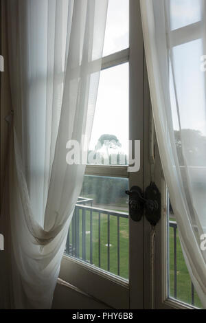 View of a garden and a pine tree from a window in a house in Italy, Napoli Stock Photo