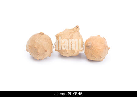 Thai herb name Quercus infectoria G.olivier or Aleppo oak  isolated on white background. Thai herb medicine concept. Stock Photo