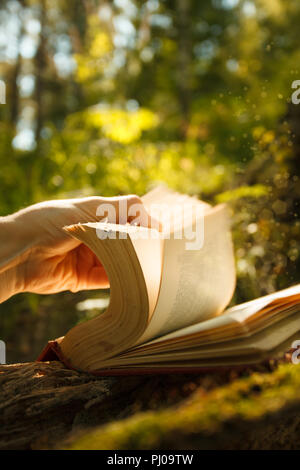 Old Book With Magic Lights in fairytale forest, mystic magic bright light on background Stock Photo