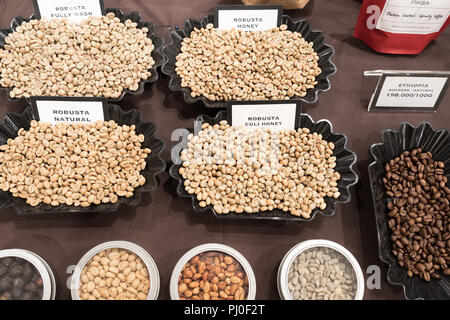 Ho Chi Minh, Vietnam - April 29, 2018: Samples of different sorts of raw Robusta coffee beans on plates on a stall at Saigon Centre Shopping Mall. Stock Photo