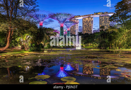 The Waterlily Pond at Gardens By the Bay, Singapore. Stock Photo