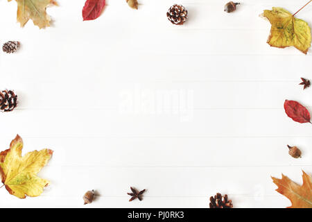 Autumn styled composition. Creative fall arrangement made of colorful maple, oak leaves, pine cones and acorns. Isolated natural objects on the white background. Space for text, flat lay, top view Stock Photo