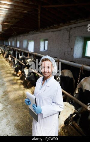 Veterinarian in Cowshed Stock Photo