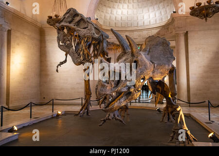 The Natural History Museum of Los Angeles County is the largest natural and historical museum in the western United States. Its collections include ne Stock Photo