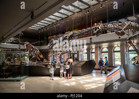 The Natural History Museum of Los Angeles County is the largest natural and historical museum in the western United States. Its collections include ne Stock Photo
