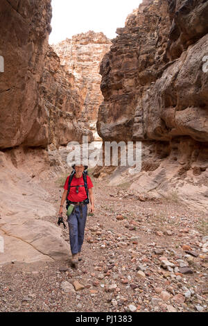 Hiking in the Seventyfive Mile Canyon in the Grand Canyon National Park Stock Photo