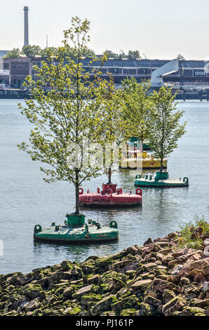 Rotterdam, The Netherlands, August 3, 2018: view of Rijnhaven harbour with trees growing in colorful buoys Stock Photo
