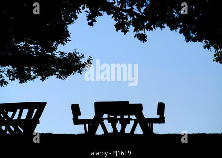 Picnic table under a tree, silhouette. Stock Photo