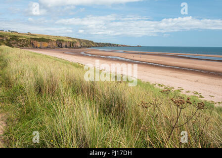 Lunan Bay beach and sand dunes, Angus, Scotland. Stock Photo