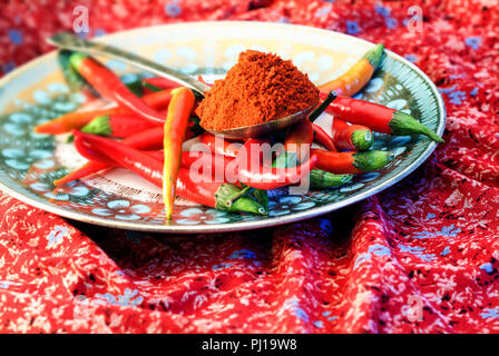 A decorated plate with red peperoni and spices. Stock Photo