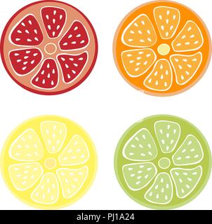 citrus group in size. Set lime, lemon, orange grapefruit pomelo Stock Vector