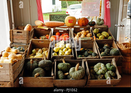 Fall squash variety vegetable stand in Quebec Stock Photo