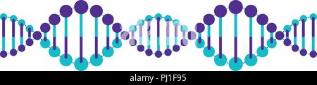 horizontal dna chain science colorful icon Stock Vector