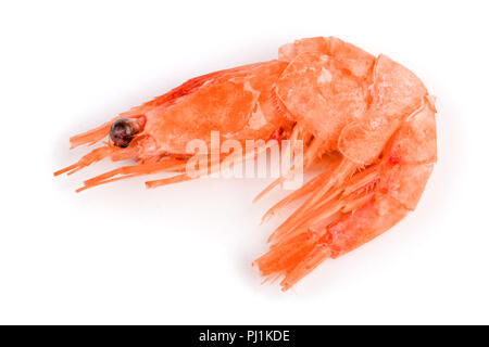 Red cooked prawn or shrimp isolated on white background. Stock Photo