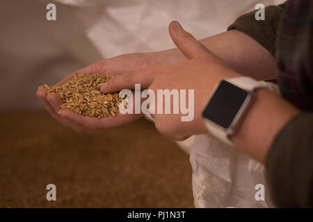 Female worker checking grains at warehouse Stock Photo