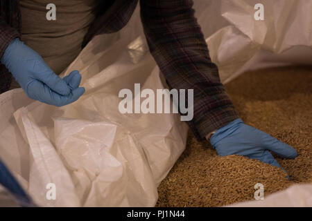 Female worker checking grains at warehouse Stock Photo