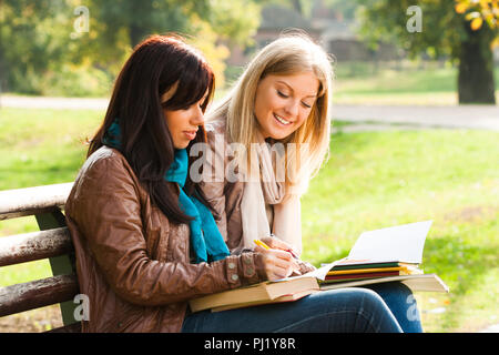 Students learning together. Stock Photo