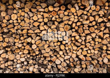 Freshly cut tree logs piled up in Greece Stock Photo