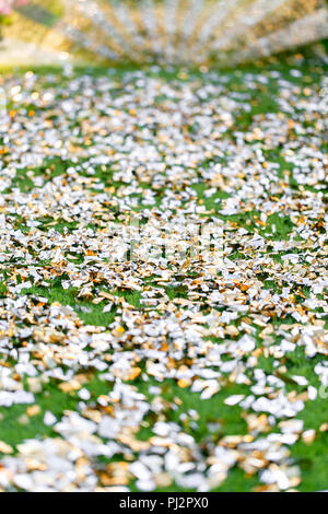 silver confetti on the green floor. Gold and silder Abstract Glitter Bokeh Background Stock Photo