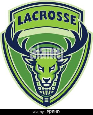 Mascot icon illustration of head of a deer, buck or stag viewed from front with lacrosse stick in back set inside crest shield on isolated background  Stock Vector