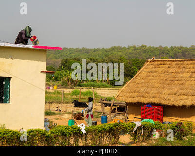 Indian woman painting the roof of his house at Pawalgarh Village, dense jungle can be seen in the background, Uttarakhand, India Stock Photo