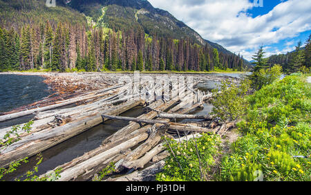 Driftwood in Majestic Mountain Lake British Columbia Canada Stock Photo