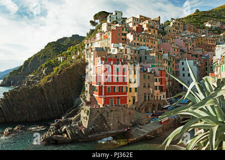 Houses on the rocks.  Riomaggiore,  Liguria , Italy Stock Photo
