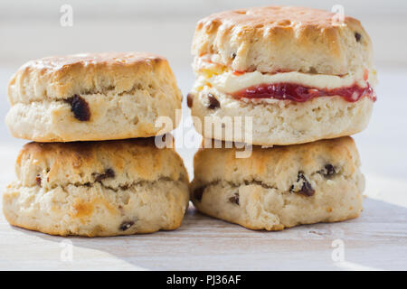 Close up of four scones with jam and cream, on the plate, on the white wooden table, selective focus copy space for text