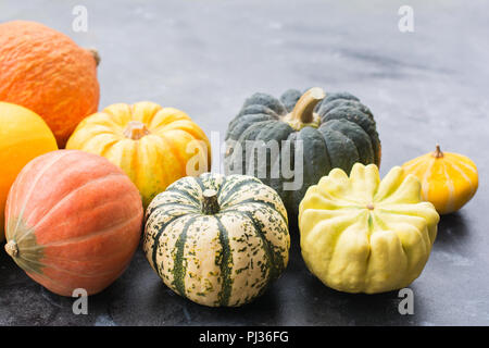 Autumn crops. Different varieties of pumpkins and gourds on the dark background, selective focus Stock Photo