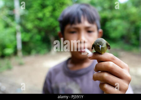 Child holding a bird, Mentawai, Siberut, Sumatra, Indonesia Stock Photo