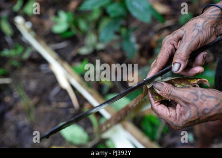 Hand of an old shaman at making cloth from tree with machete in rainforest, Mentawai, Siberut, Indonesia Stock Photo