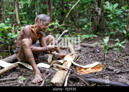 Old shaman at making cloth from tree with machete in rainforest, Mentawai, Siberut, Indonesia Stock Photo
