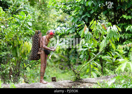 Old shaman at making cloth from tree with machete in rainforest, Mentawai, Siberut, Indonesia Stock Photo