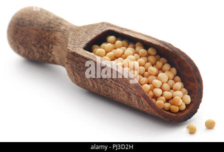 Golden mustard seeds in a wooden scoop over white background Stock Photo