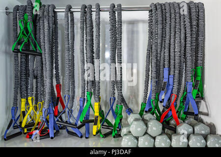 Dumbbells lying on the shelves. Gym. Equipment for a sports hall.
