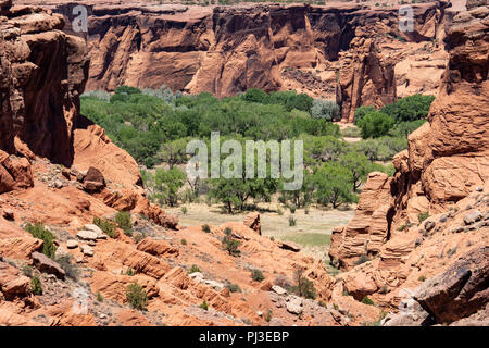 Lush green valley inside of Canyon de Chelly National Monument outside of Chinle Arizona in the Four Corners Region. Stock Photo