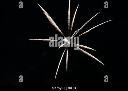 fireworks in night sky Stock Photo