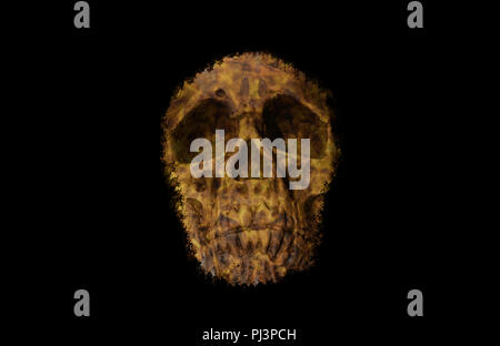 Abstract skull with fire pattern on the face against black background Stock Photo