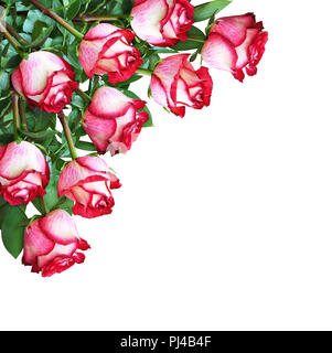 Corner arrangement with red rose flowers and silk ribbon isolated on ...