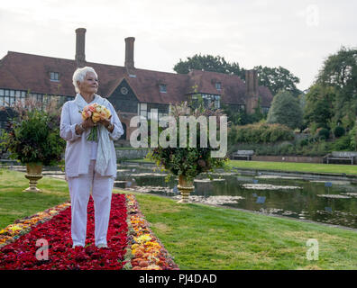 Dame Judi Dench stands on a 'red carpet' of flowers before opening the RHS Garden Wisley Flower Show at the gardens near Woking in Surrey. Stock Photo