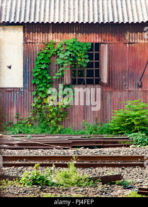 Iron shed at Lower Parel station, Mumbai (India) covered with creepers. In the foreground are steel tracks (rails) and plants. Stock Photo