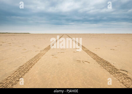 car tires print in the sand on a deserted cloudy beach and leave tire tracks behind towards the horizon Stock Photo